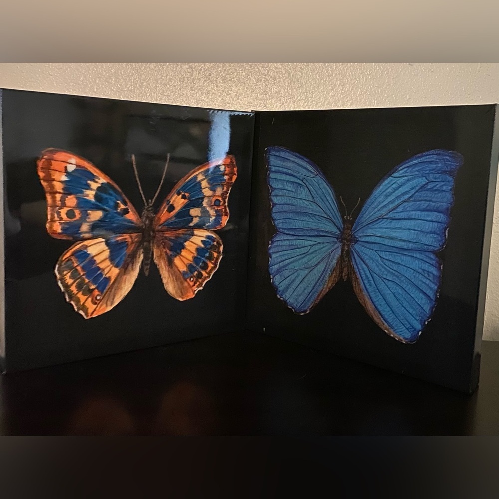 Butterfly Canvas Wall Art Set | Blue & Orange Nature Decor 12x12 - Picture 2 of 7